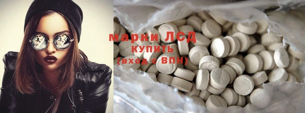 прущие грибы Баксан