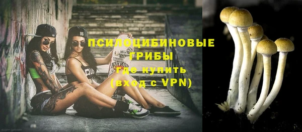 прущие грибы Баксан