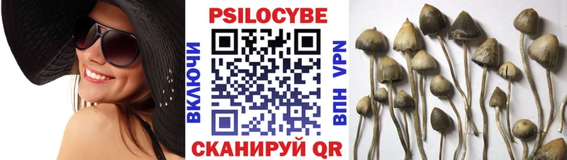 Галлюциногенные грибы Magic Shrooms  купить наркоту  Шумерля 